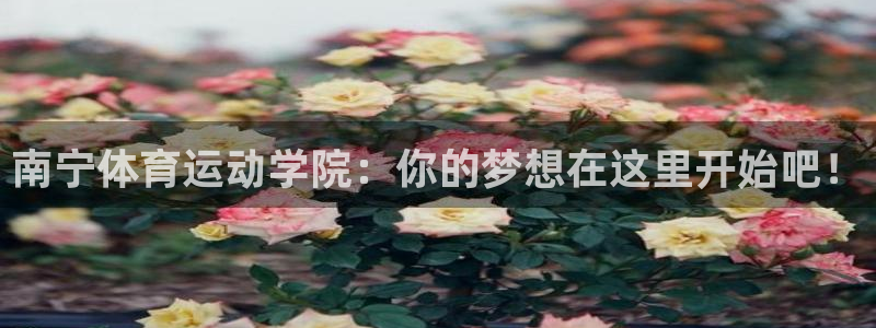 利记官方正版app娱乐是那个系列的台子:南宁体育运动学院:你