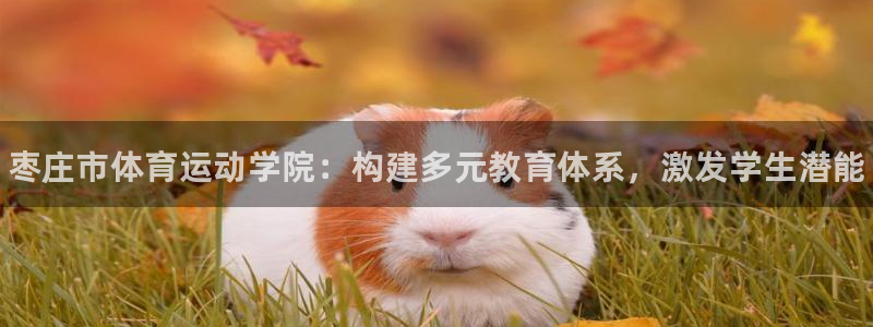 利记官方正版app娱乐:枣庄市体育运动学院:构建多元教育体系